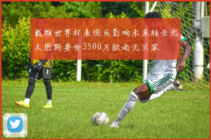 戴维世界杯表现或影响未来转会尤文图斯要价3500万欧尚无买家