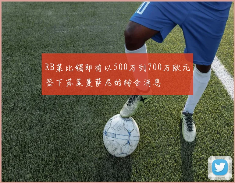 RB莱比锡即将以500万到700万欧元签下苏莱曼萨尼的转会消息